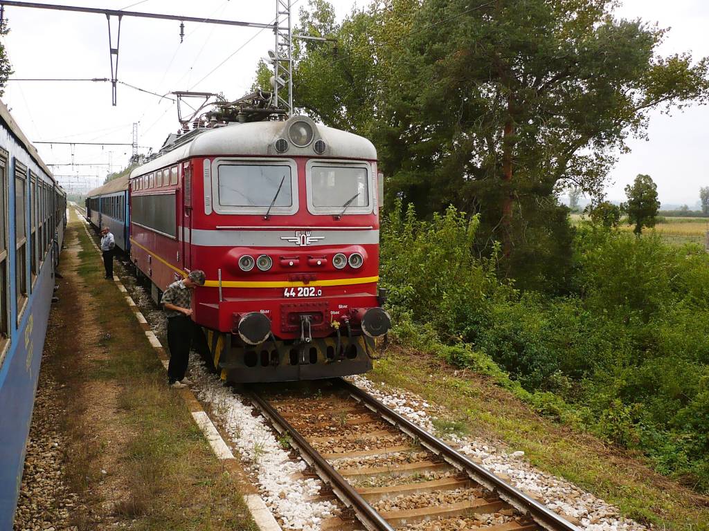 44 202.0 начело 3 "коня"