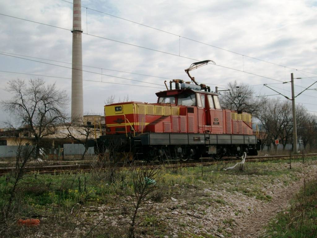 самотен паток